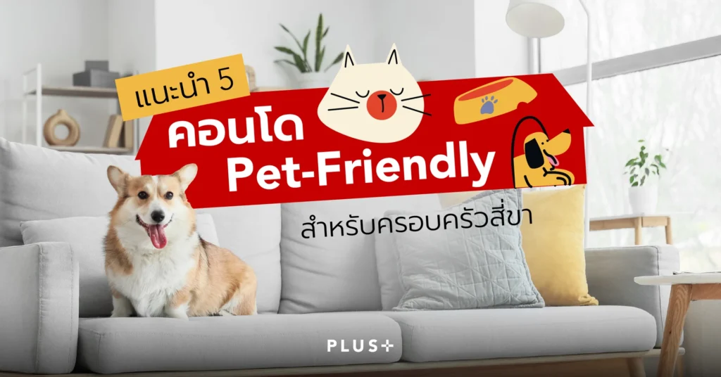 pet-friendly-condo-bangkok